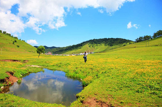 寶雞關山草原水源狀況